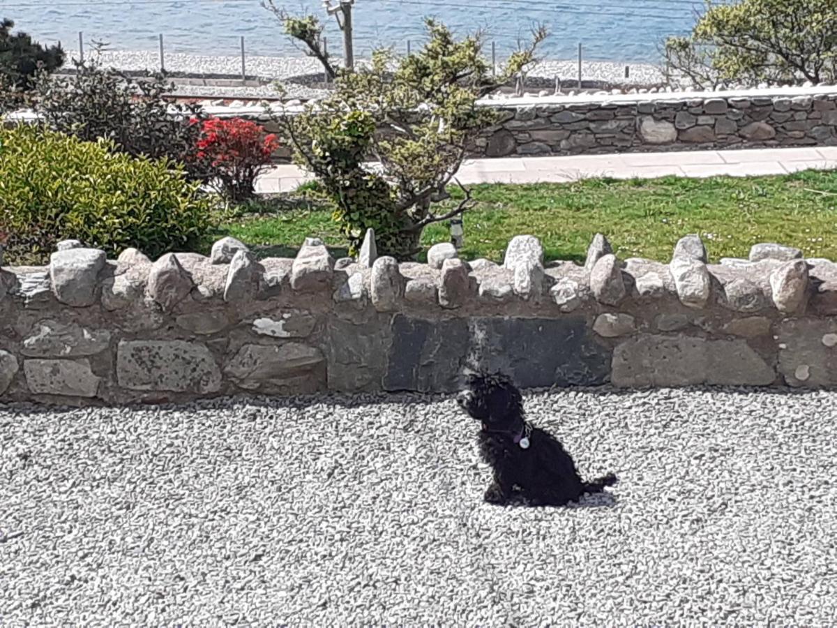 Villa Talarfor Barmouth Exterior foto